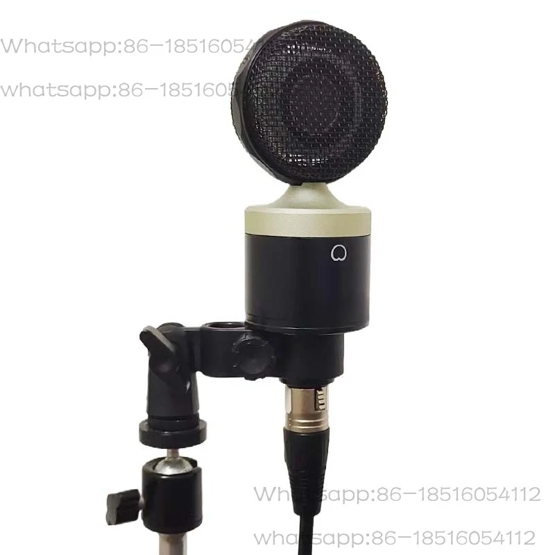 

Professional Recording Microphone, Computer Desktop Live Broadcast, Dubbing and Song Recording Tour