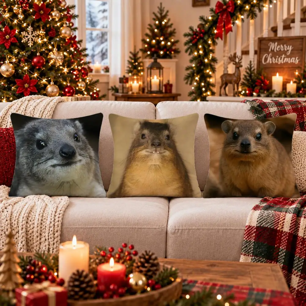 Rock Hyrax Cushion Cover Cushion Cover Soft Plush Cushion Covers Fluffy Throw Pillow Cases for Sofa Bedroom  Decor
