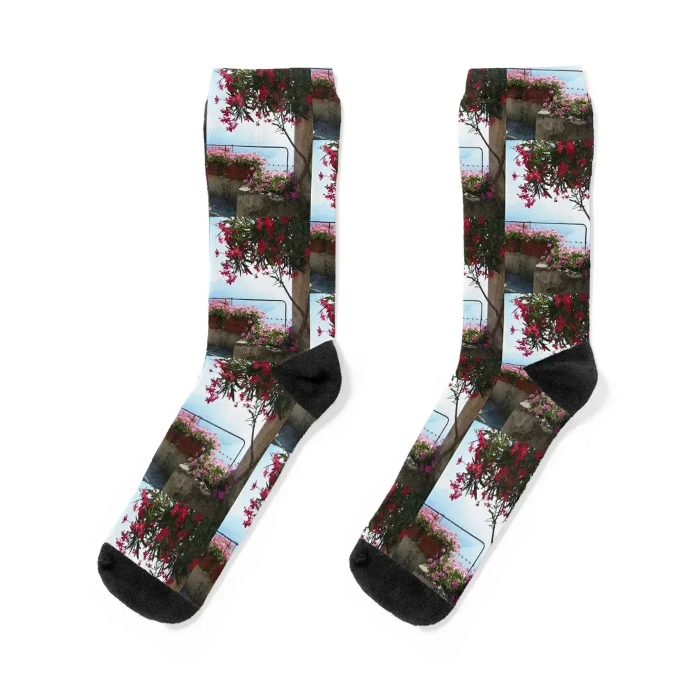 

Ravello Italy Amalfi Coast Socks winter thermal cartoon Socks Woman Men's