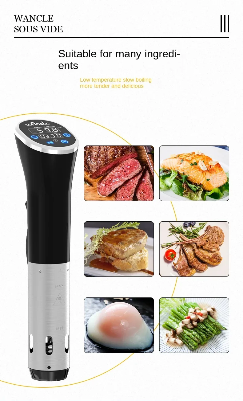 220V Sous Vide Cooker by Wancle – Precision Cooker with Digital Display and Powerful Motor for Home and Commercial Use A