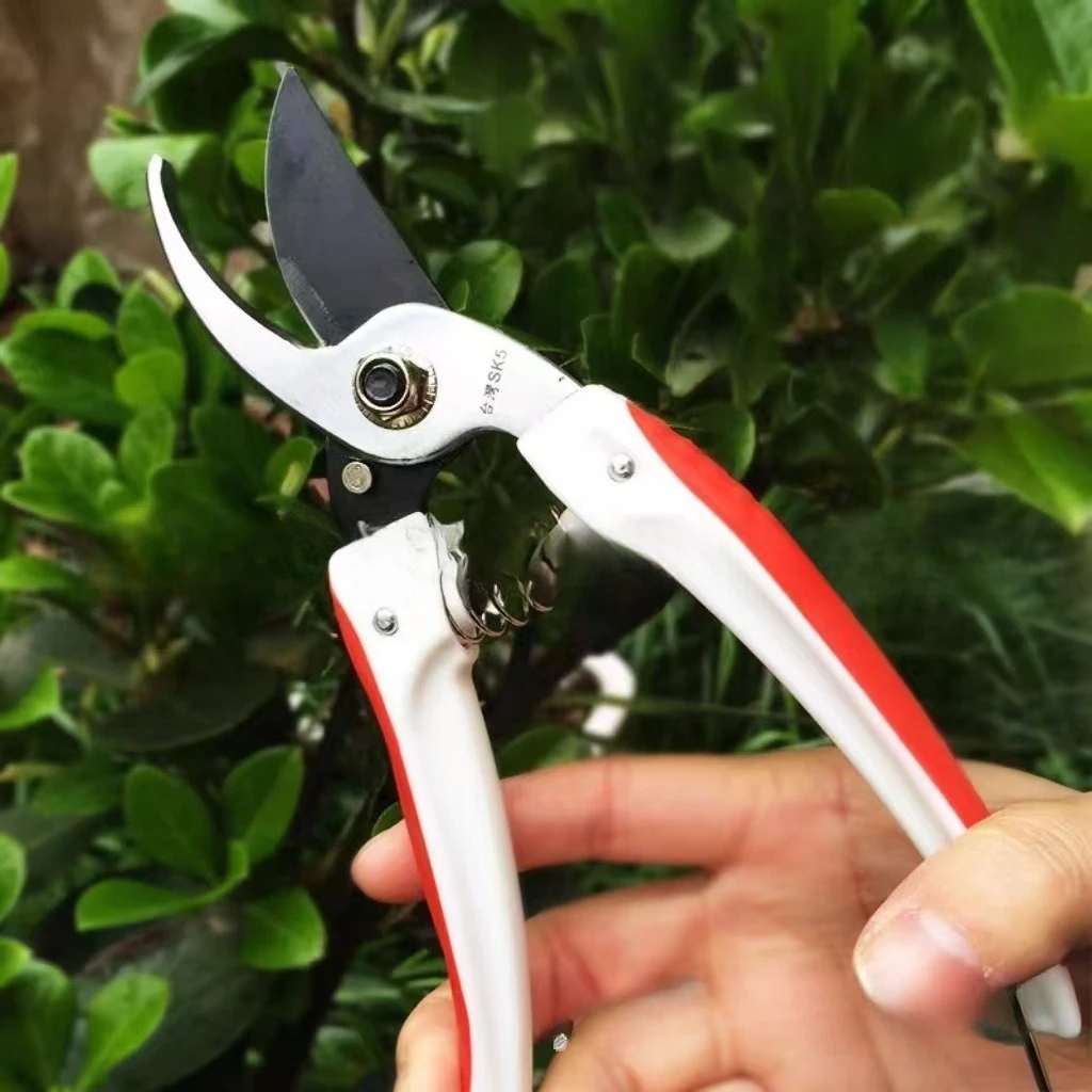 ガーデン113-剪定剪定、果樹剪定、フラワーアレンジメント、盆栽剪定、特殊花枝切り鋏