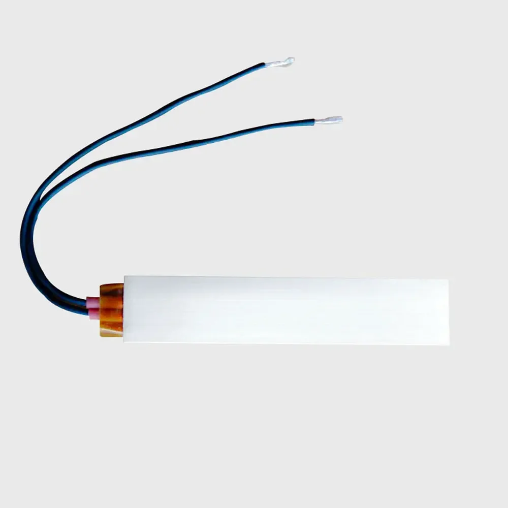 100x21x5mm 12V 24V 36V 48V 110V 220V elemento riscaldante PTC termostato costante sensore di riscaldamento elettrico incubatore guscio in alluminio