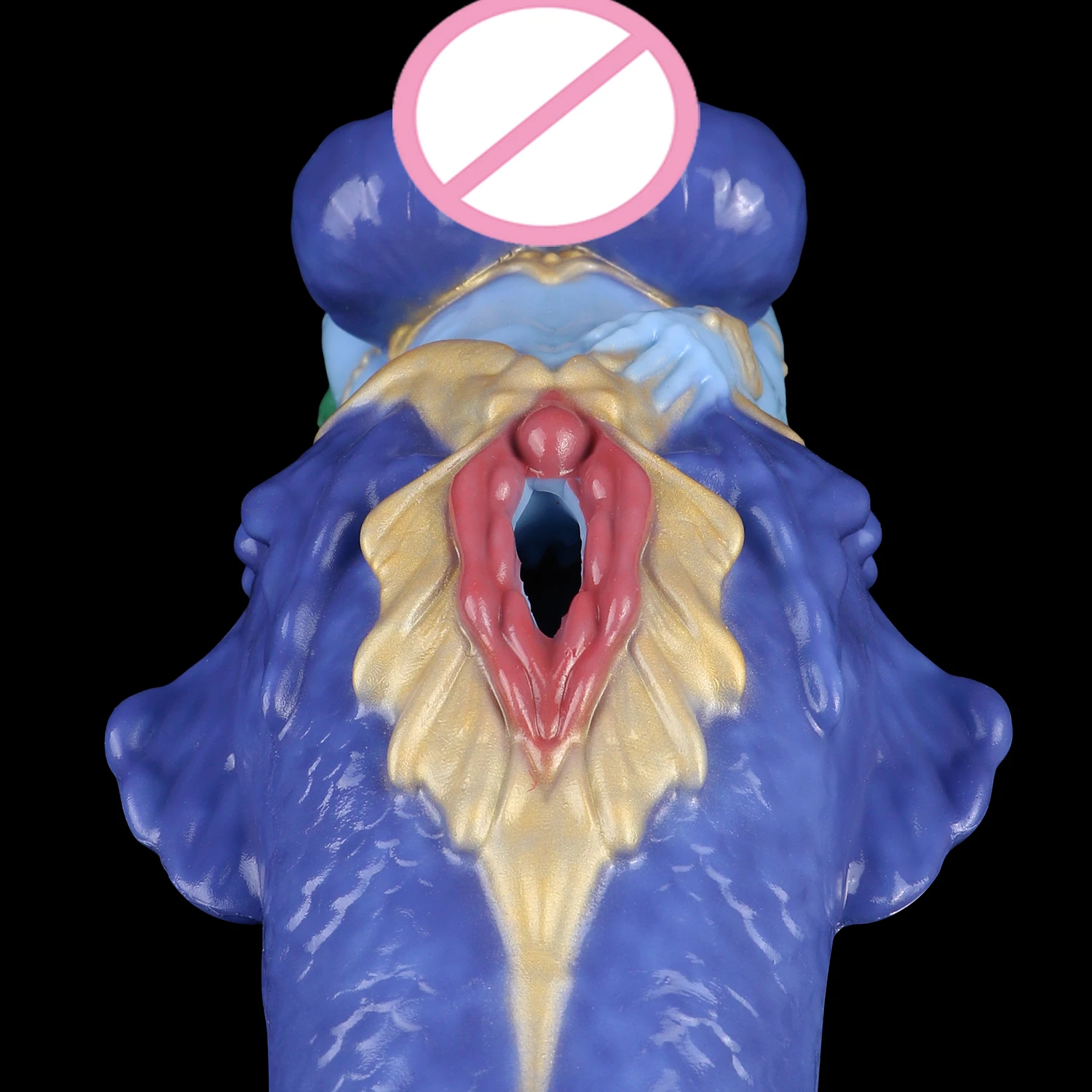 No image