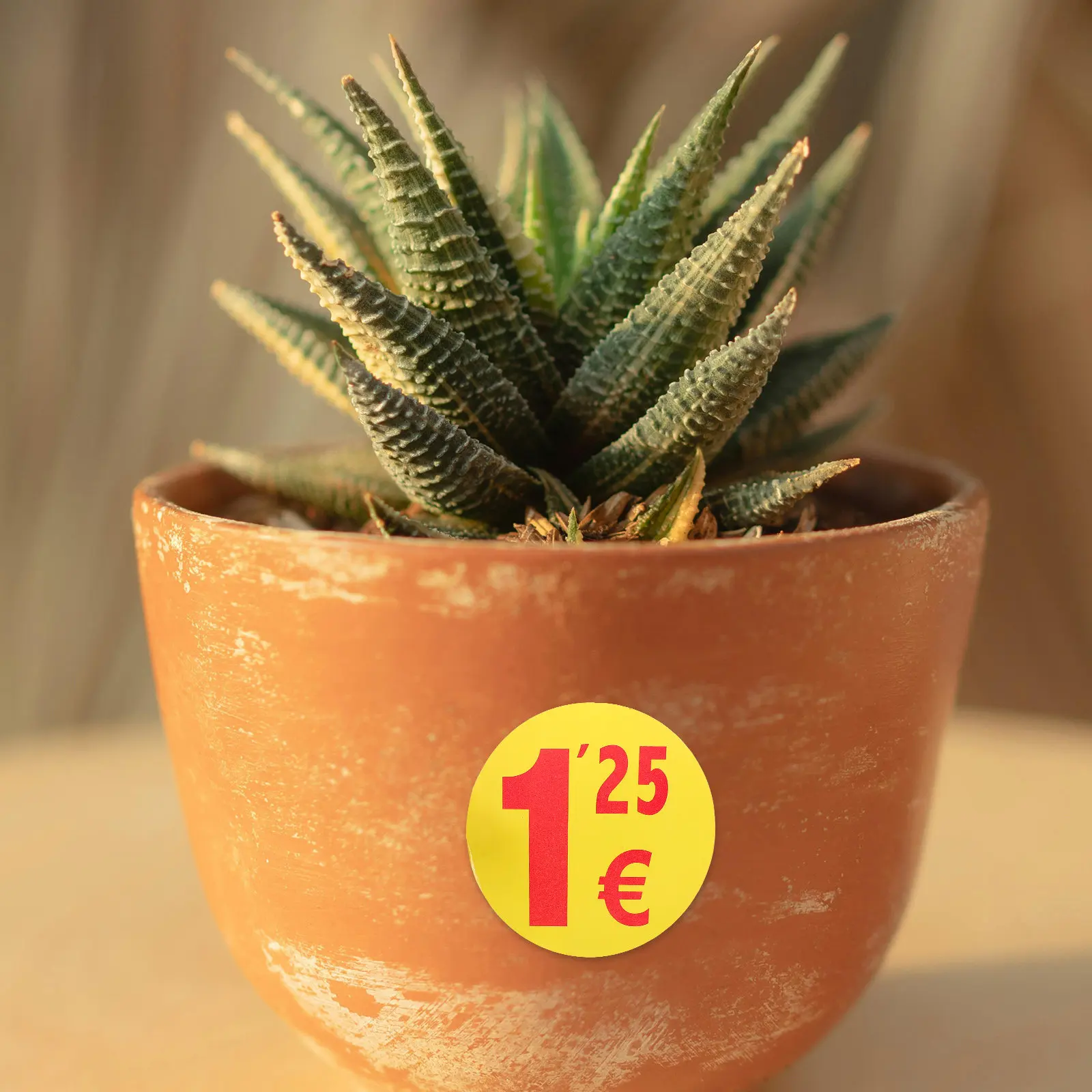 Adhesive Price Tag Paper Round Colorful Price Stickers Small Business Retail Sale Pricing Labels Supermarket Market Use