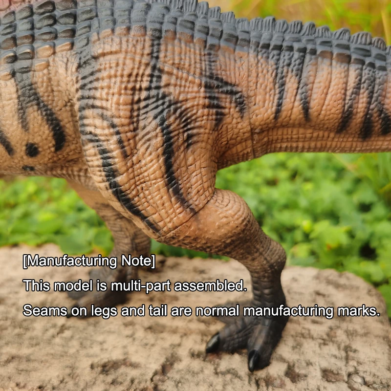 Realistic Giganotosaurus Dinosaur Toys with Movable Jaw, Educational Action Figures for Kids, Perfect Christmas & Easter Gift view 4