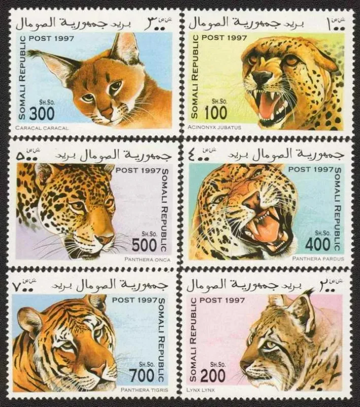 Somalia Post Stamps,1997,Animal Stamps, Tiger,leopard,Set 6 PCS,New UNC,High Quaility