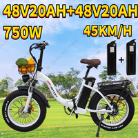 Electric Bicycle 750W Motor 48V40Ah Dual Battery 20*4.0 Fat Tire Electric Bike  with Basket Outdoor Travel City Folding E Bike