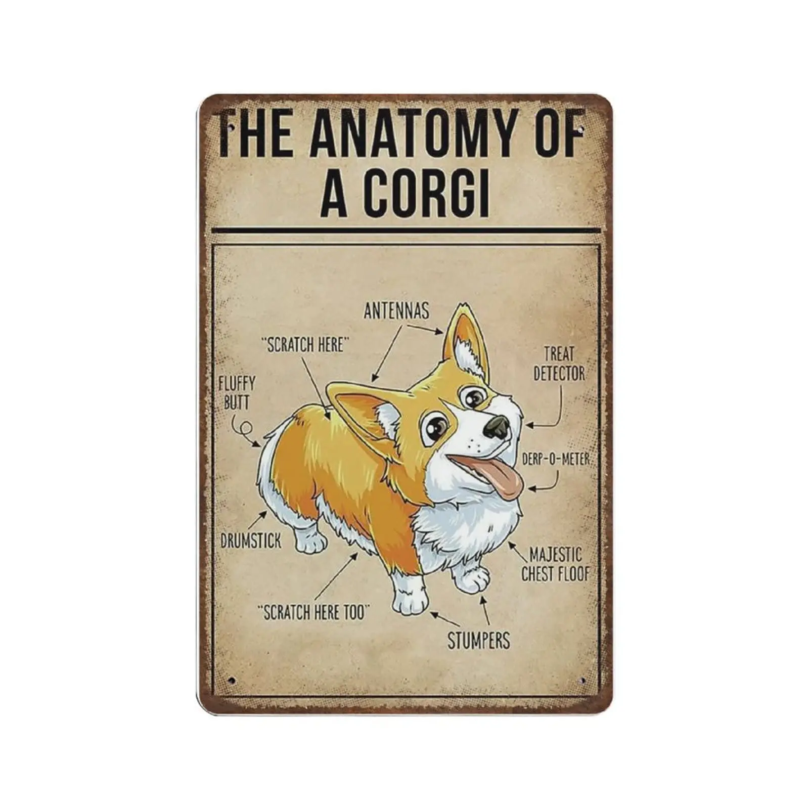 Vintage-Metallblechschild, The Anatomy of A Corgi Tin Sin, Man Cave Pub Club Cafe Home Decor Plate, Birthday Anniversary House
