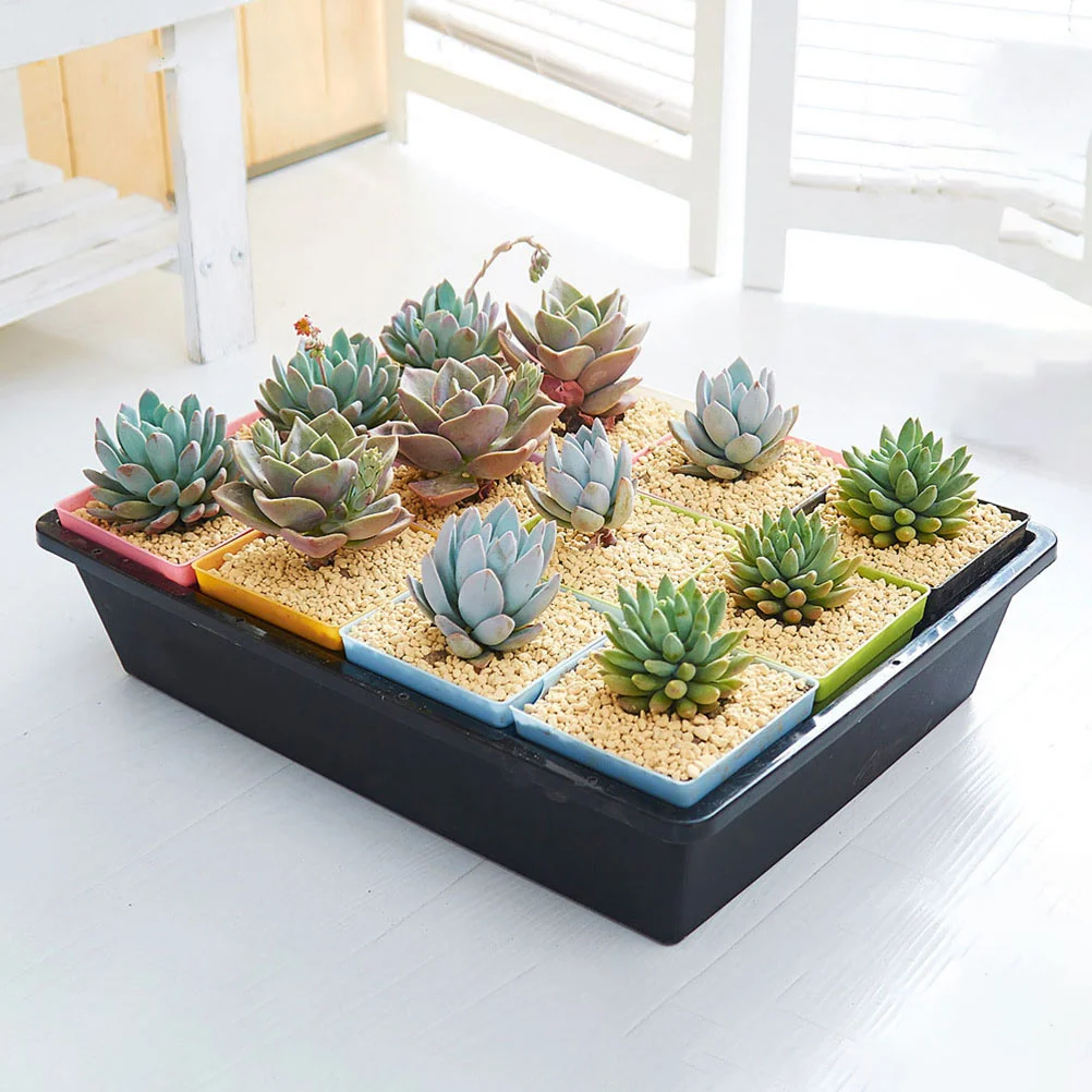 

Стартовый лоток для растений, пластиковые дренажные отверстия, бесплатная перегородка для выращивания цветов, овощей, трав, детских растений