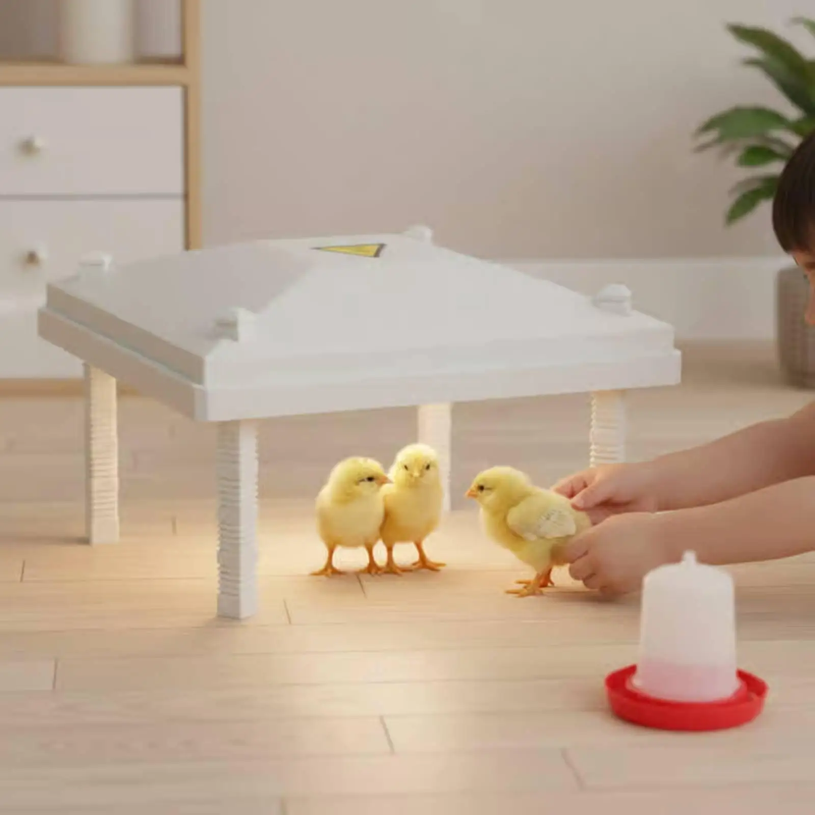 Adjustable Chick Heater Plate 50-60C Constant Temp Heat Shelter for Ducklings Young Geese Small Pets Brooding