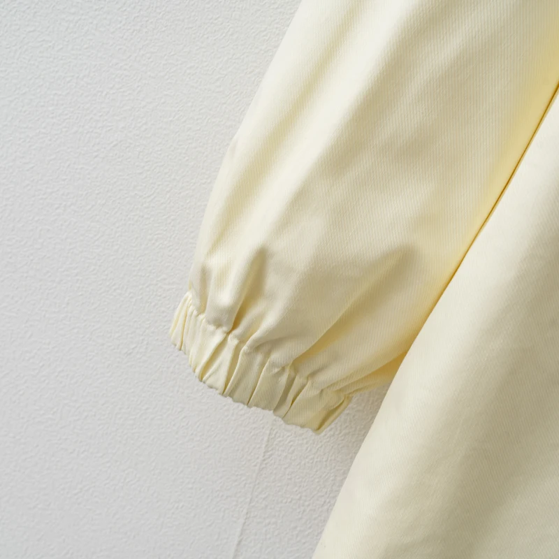 Veste jaune crème pour femmes, manches longues, taille élastique réglable, manteau décontracté, nouvelle dame, vêtements d'extérieur de banlieue, automne hiver 2025