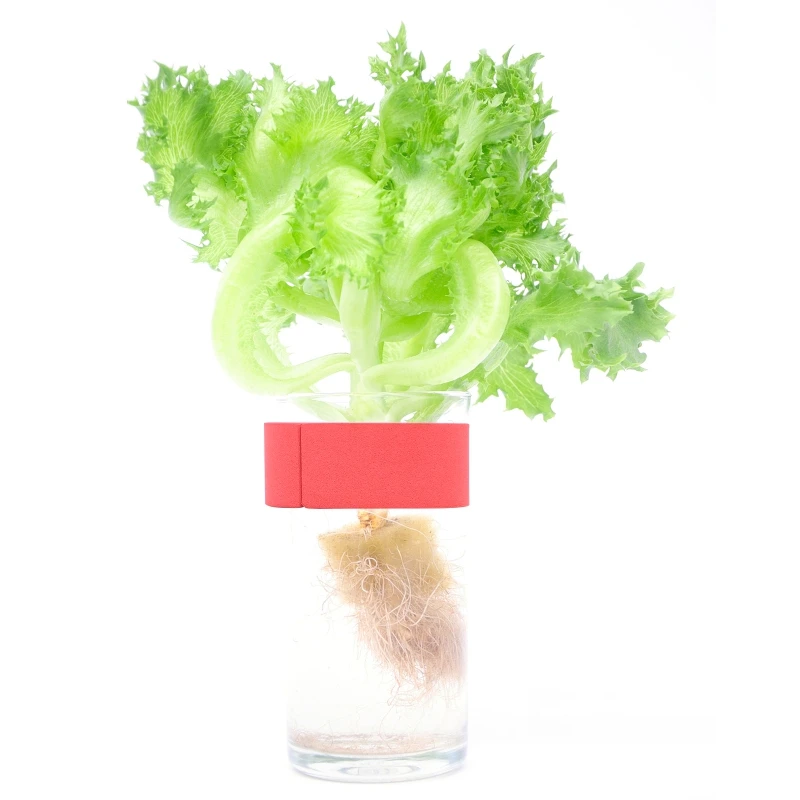 20 stücke 48/70mm Garten Soilless Anbau Kindergarten Schwamm Hydrokultur Syetem Klon Halsbänder Körbe Medien EVA Schaum pflanzung Schwamm – Detail 11