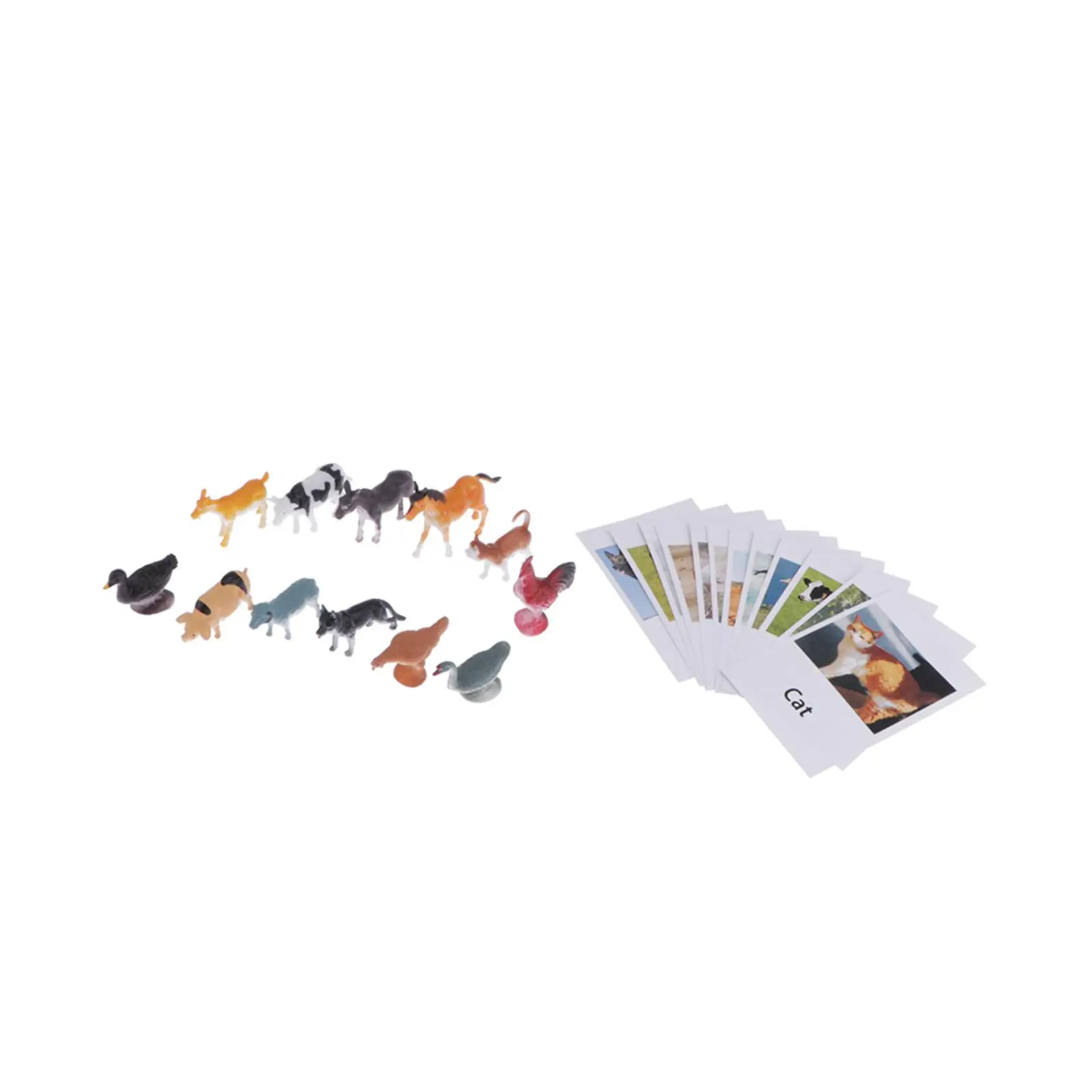 12 Packs Learning Fowl Poultry Animal Model with Matching Cards