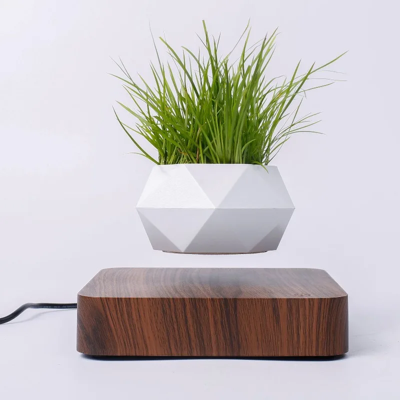 Beautiful Levitating Bonsai Flower Pot  Electronic Home Hanging Indoor Usage Smart Rotating Floating Planter Gift  Plant Holder