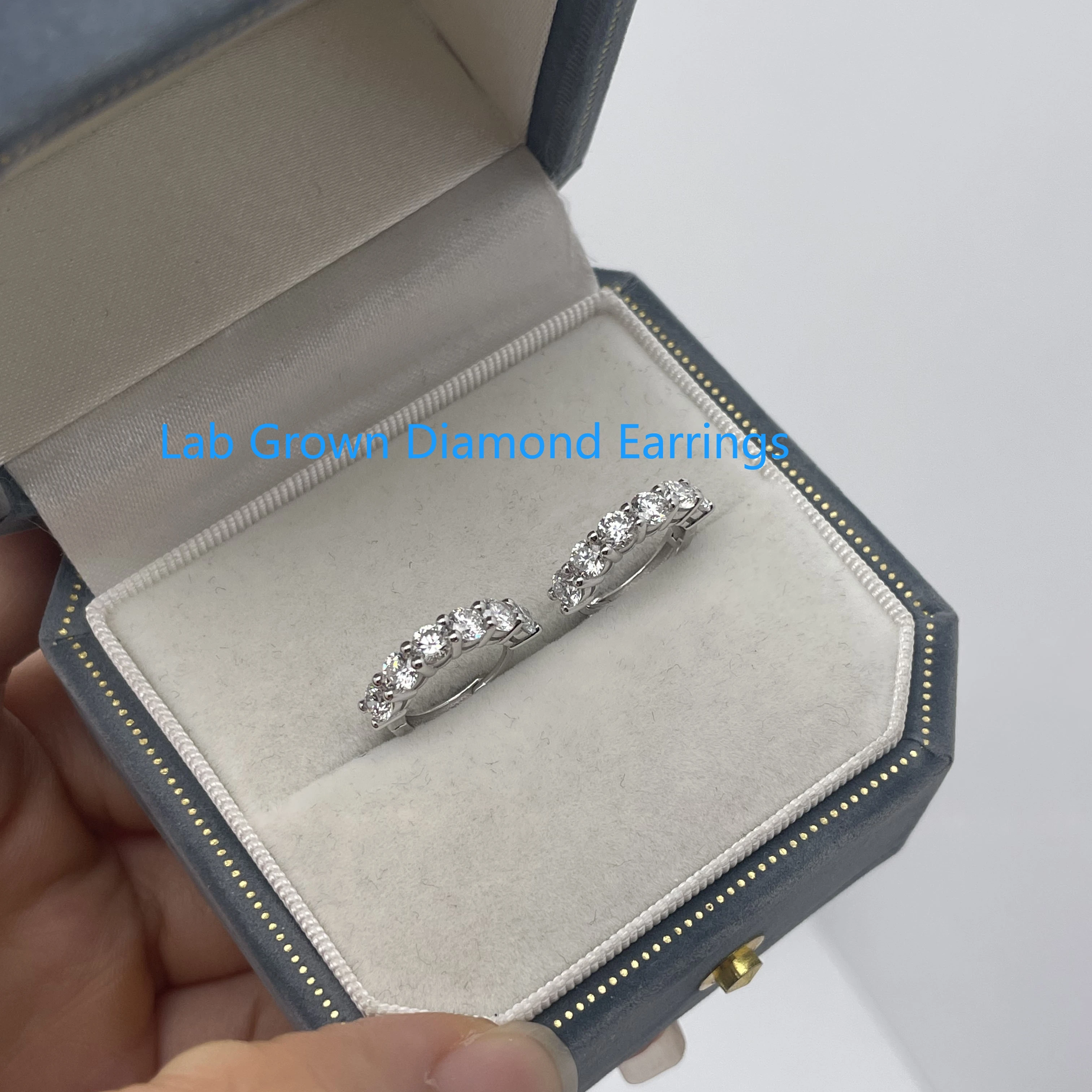 1.2ctw CVD HPHT Lab Grown Diamond Earrings In Platinum 950 Hook Earrings DEF VS-VVS Round Shape Claw Prong Settings