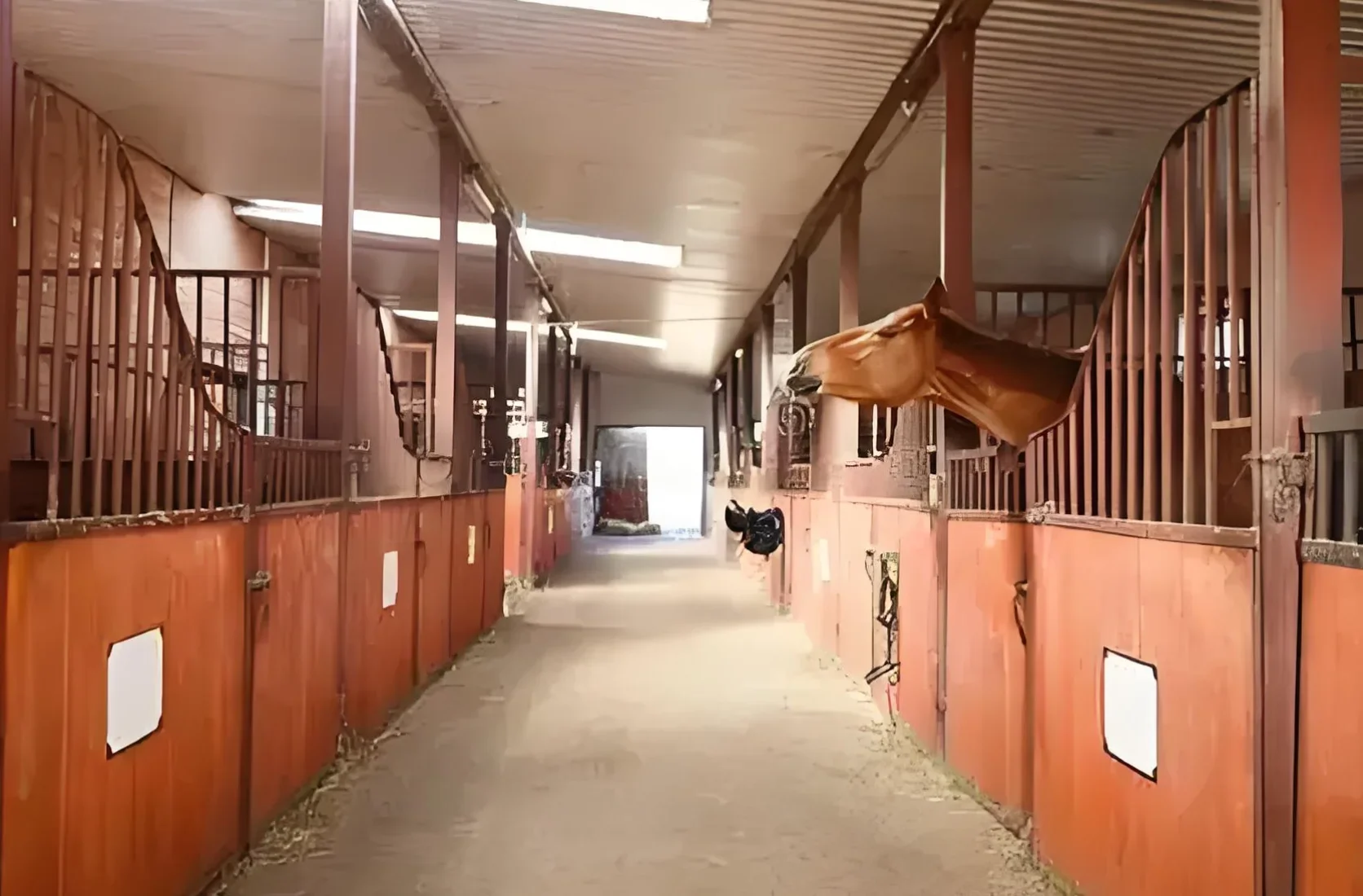 The latest in horse fencing is durable and good quality bamboo and steel construction customised horse stable