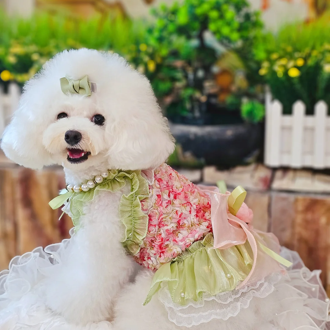 

Summer Pet Dog Clothes Casual Home Wear Fashion Pink Green Roseflower Lace Sling Dresses For Small Medium Dog Puppy Overalls