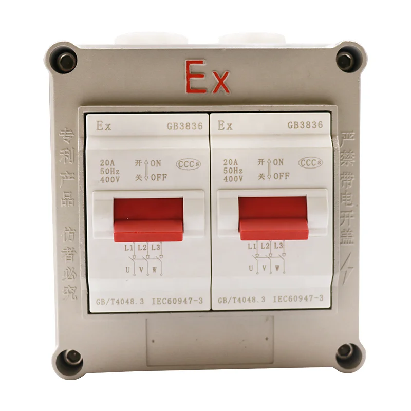 BPZ30-20/1K 2K 3K Explosion-Proof Switch Box Ex d EII CT6 Double Open 20A 220V/380V IP65 Aluminum