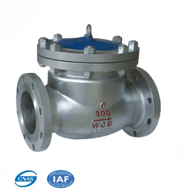 

H44H-16C Heavy Type PN16 PN10 Swing Start Check Valve for Water Media with DN200 DN300