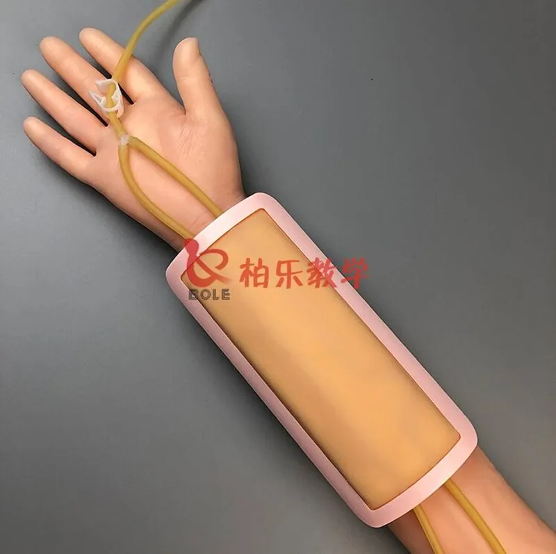 Venous puncture infusion and intramuscular injection training arm model nurse blood drawing practice injection arm model