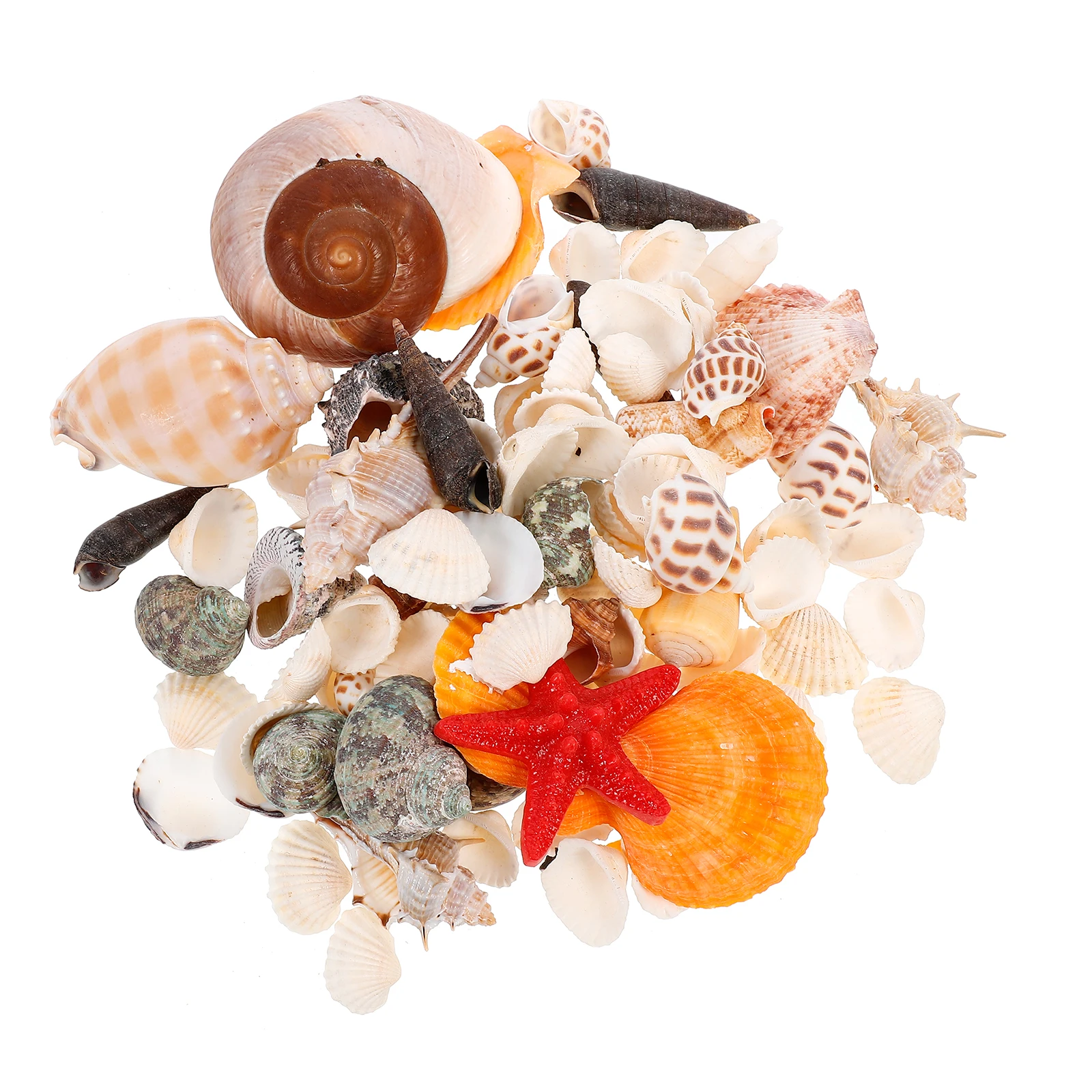 

1Set Mini Shell Conch Fish Tank Decoration Exquisite Craftsmanship Realistic Aquarium Ornament Gift Fish Tank Shell Ornament