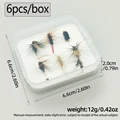 6pcs with box