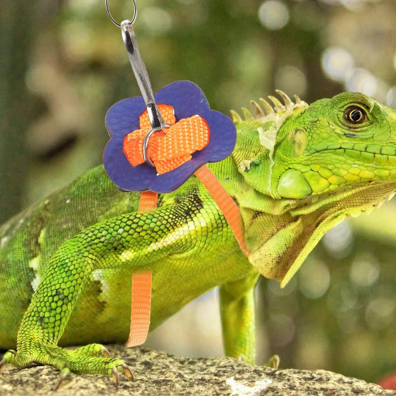 

Lizard Pulling Rope Reptiles Traction Cable Adjustable Design for Small Animals Outdoor Use Lizard Traction Rope