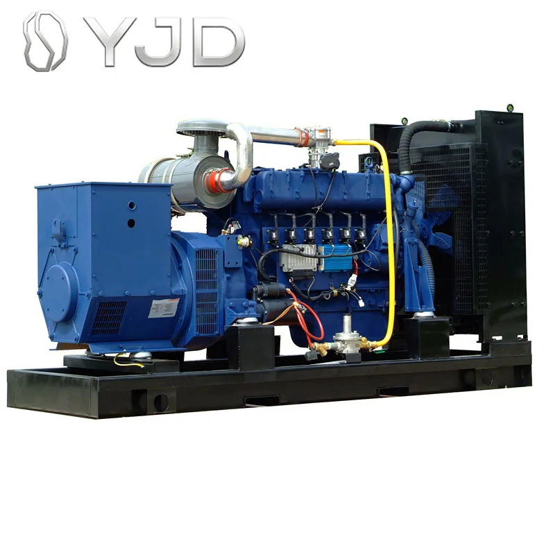 Hot Sale Three Phase 500kva Natural Gas Generator 400kw Gas Generator