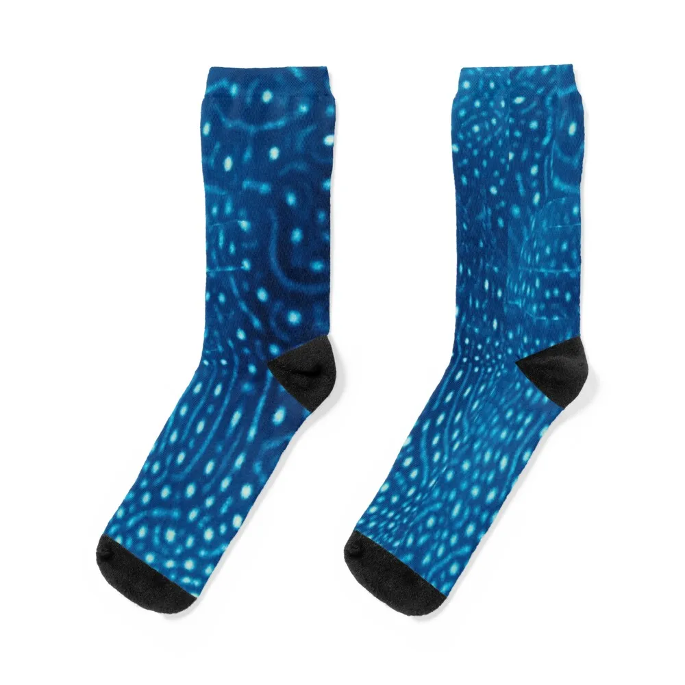 

Whale Shark Pattern Socks