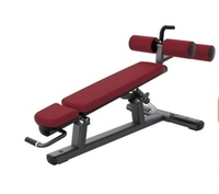 Commercial Gym Adjustable Dumbbell Bench Core Strength Exercise Equipment-Roman Chair Abdominal Weight Metal Fitness Equipment