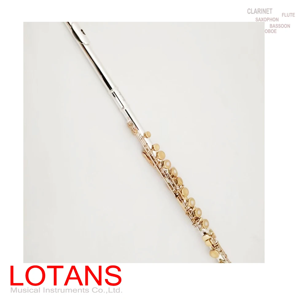 

Флейта с клавишами C и E, позолоченный корпус, 16 закрытых отверстий, инструмент с клавишами E