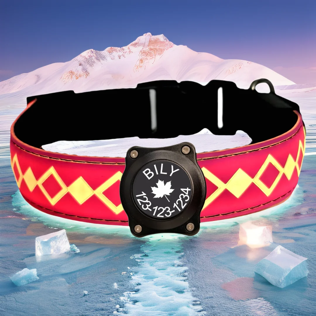 

Personalized Flashing Night Dog Collar, Waterproof Airtag Holder for Black Dog, Night Walking