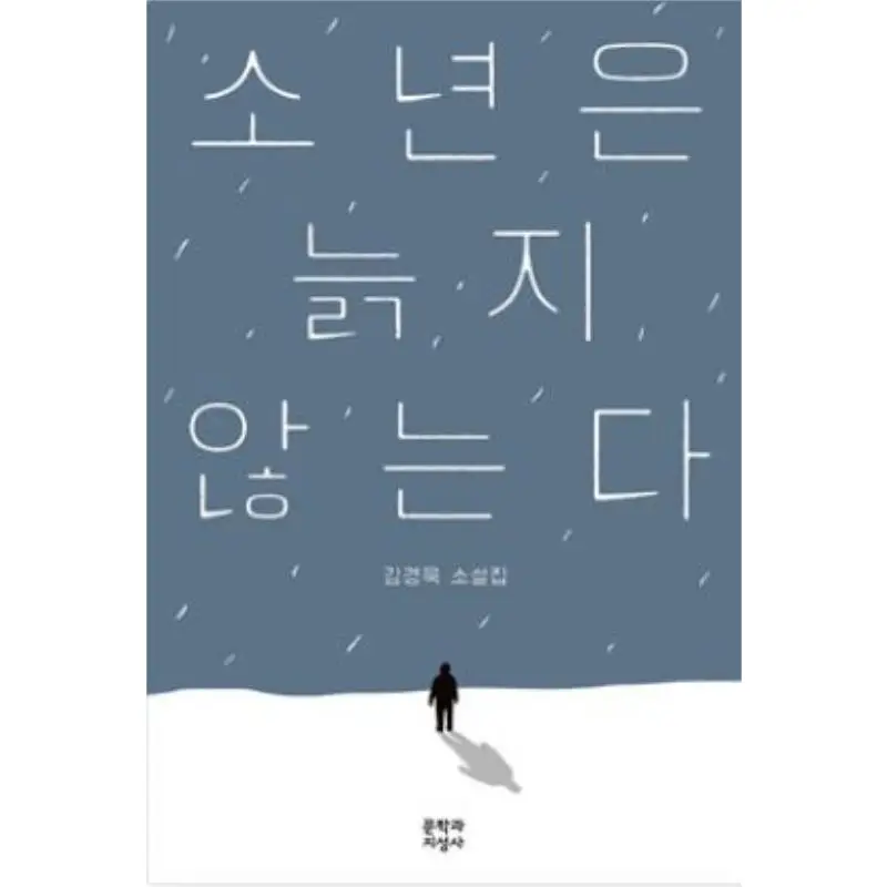 

Мальчик никогда не вырастить Старый Ким Кюнвук Литературная история 9788932026664 Книга