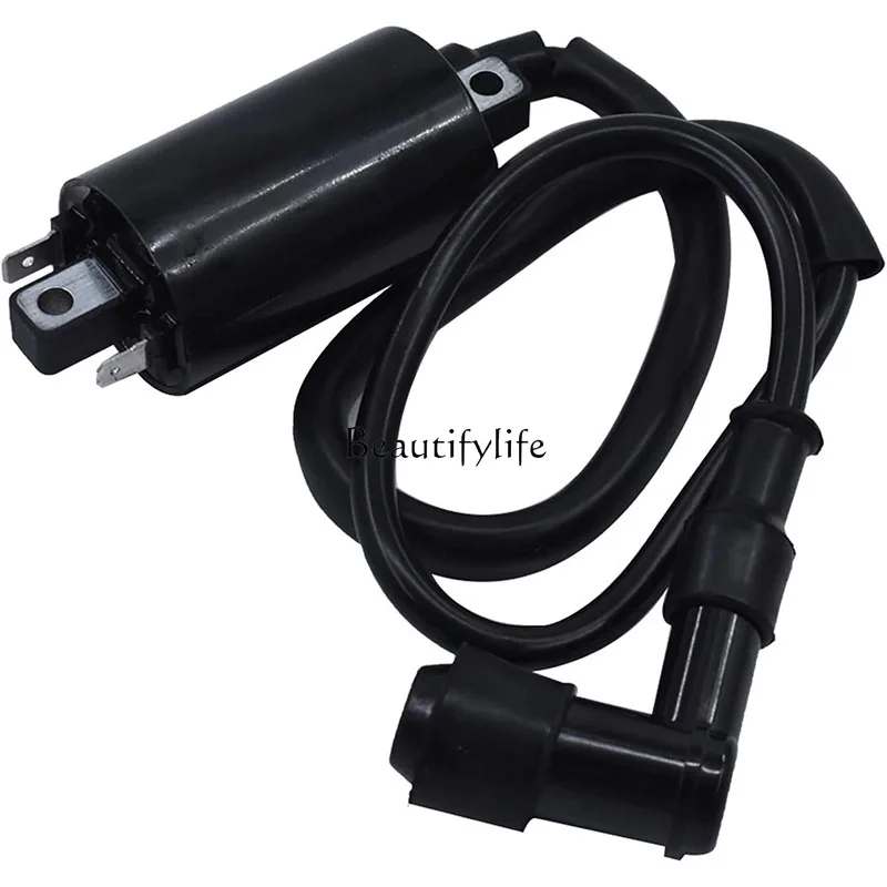 

Motorcycle AM120732 Ignition Coil High Voltage Package FD440 FD501V 21121-2083