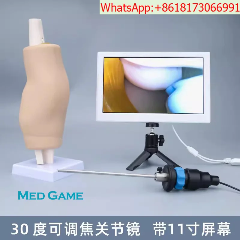Human knee joint simulation training system: 11-inch monitor + 24 knee joint training models + 30-degree arthroscope.