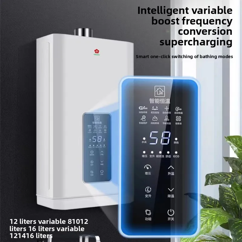 Gas water heater electric household natural gas constant temperature forced exhaust 12L liquefied coal gas balanced booster