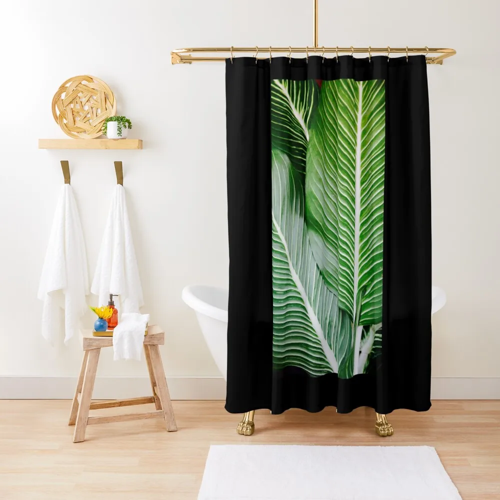 

Palm Leaf Wall Art, Tropical Leaf Prints, Printable Leaf, Green Leaf Print, Tropical Leaves Art, Palm Print, Shower Curtain