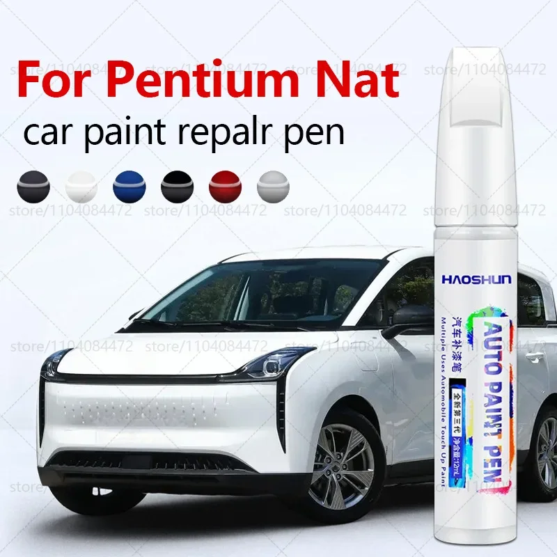 Stylo de réparation de peinture de voiture, dissolvant de rayures, accessoires automobiles de bricolage pour Pentium-Nat 2010 – 2017 C306, blanc argent