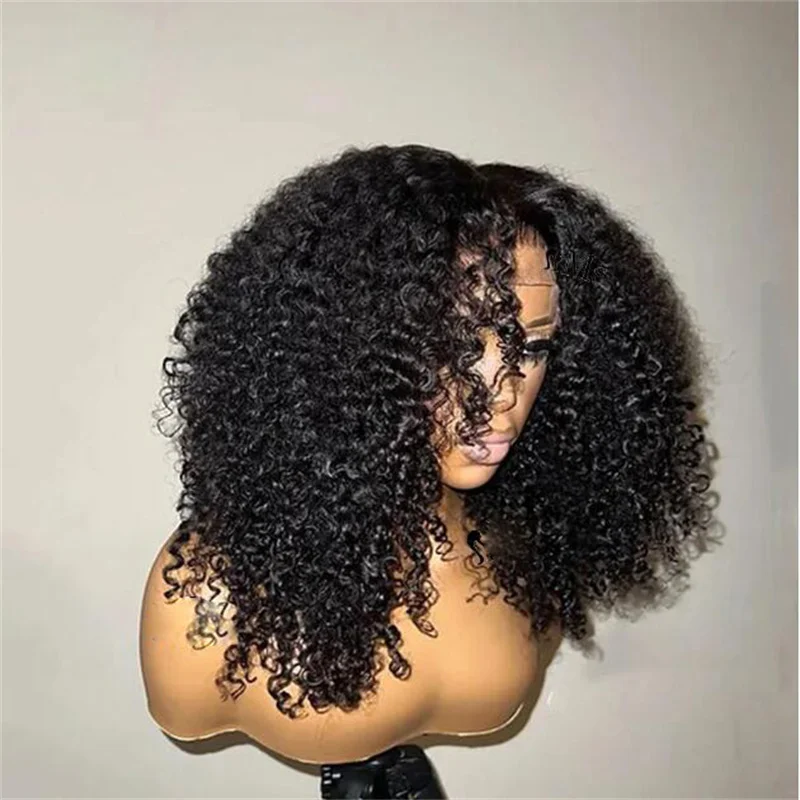 

Middle Part Preplucked Glueless 26" 180%Density Long Black Kinky Curly Lace Front Wigs For Women Baby Hair Heat Resistant Daily