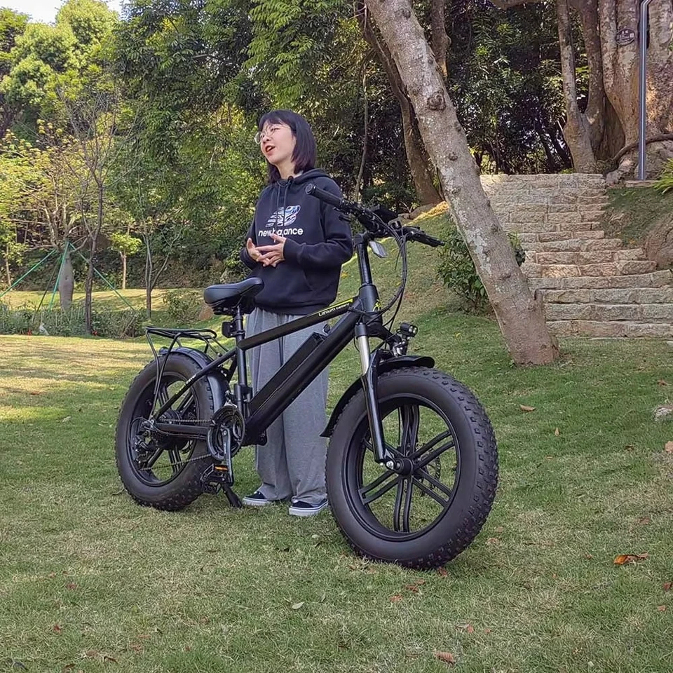 20 Inch Fat Tire Ebike 48V 500W 1000W Electric Bicycle 750W Mountain E Bike Power Assisted E-bicycle