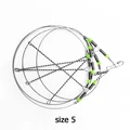 Size 5