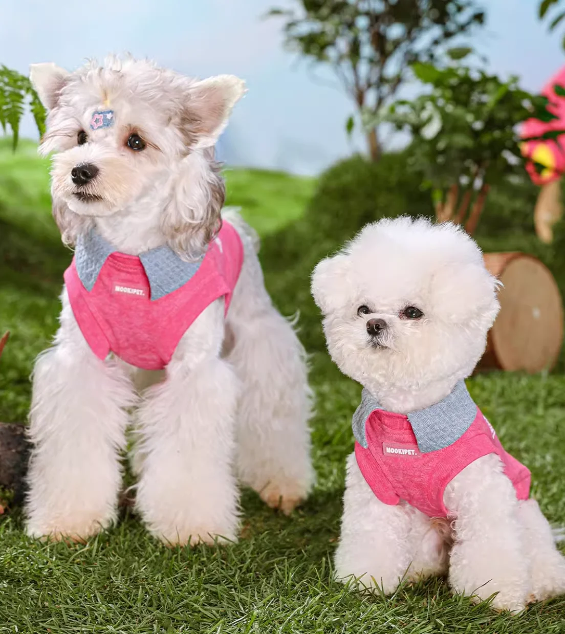 

Spring summer clothes for pet, puppy, French Bulldog