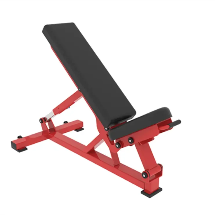 

Weight Bench Fitness Gym Strength Training Body Building Free Muscle