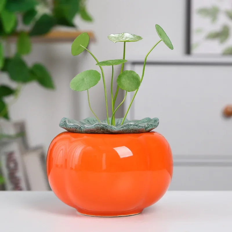 

Creative Ceramic persimmon hydroponics green plants vase succulent pot Home room decoration indoor decoration