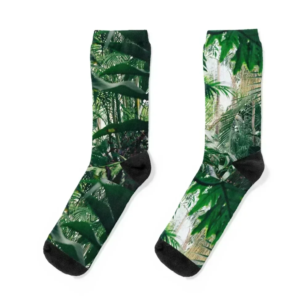 

Exotic Palm Tree Jungle Socks loose hip hop Antiskid soccer short Men Socks Women's heated luxury snow Socks Men's Women's