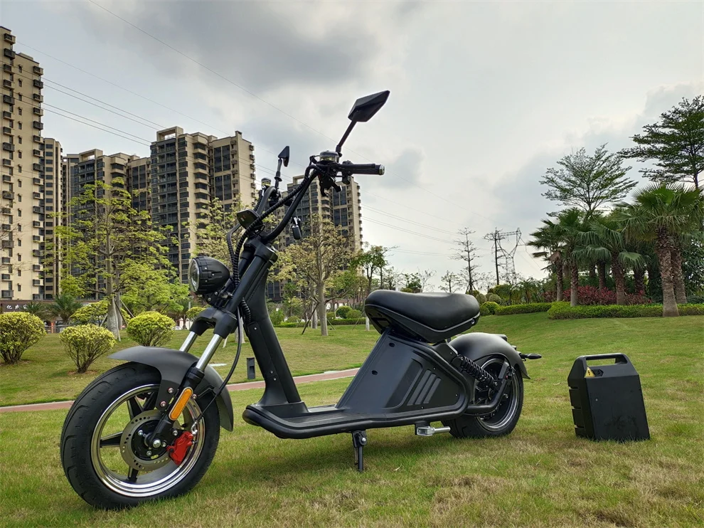 Bjane Best Electric Scooter With 12 Inch Fat Tire 2000w For Adult Citycoco