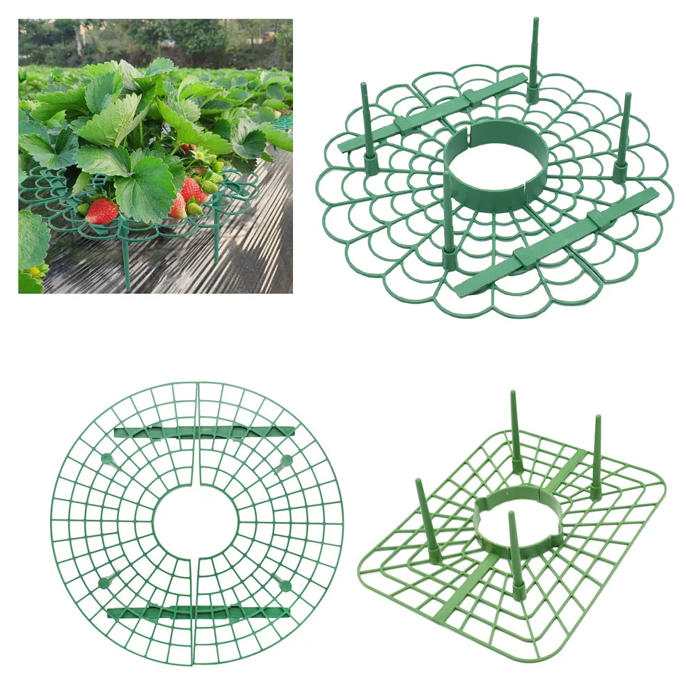 

5/10/15pcs Round Plastic Strawberry Stand Balcony Grow Vegetables Fruit Climbing Pillar Rectangle Gardening Bracket Plant