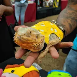 Bearded Dragon Vest Leash Lizard Vest Leash Stylish Leash Set Dragon Vest Bee Print Adjustable Buckle Breathable for Lizards