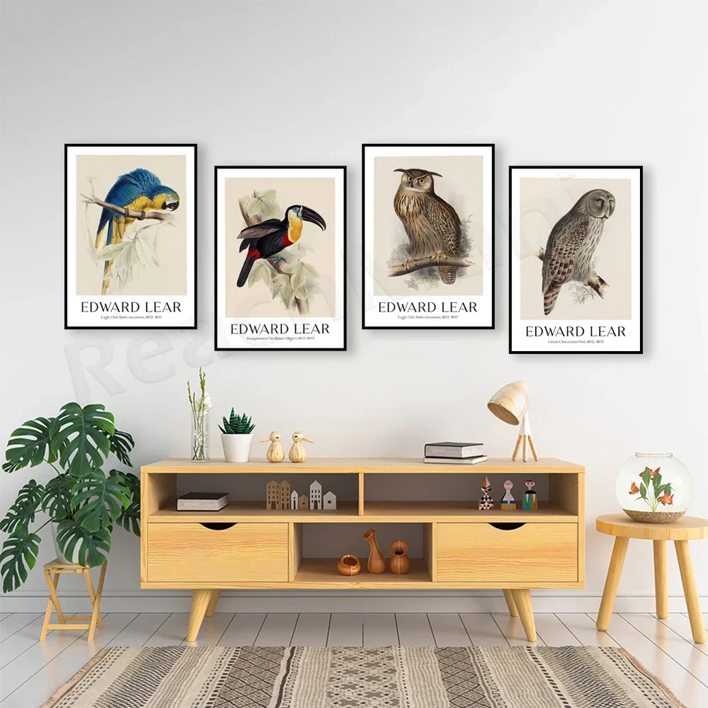 Edward Lear - Macrocercus Ararauna, Eagle Owl, Blue and Yellow Macaw Art Print, Botanical Poster