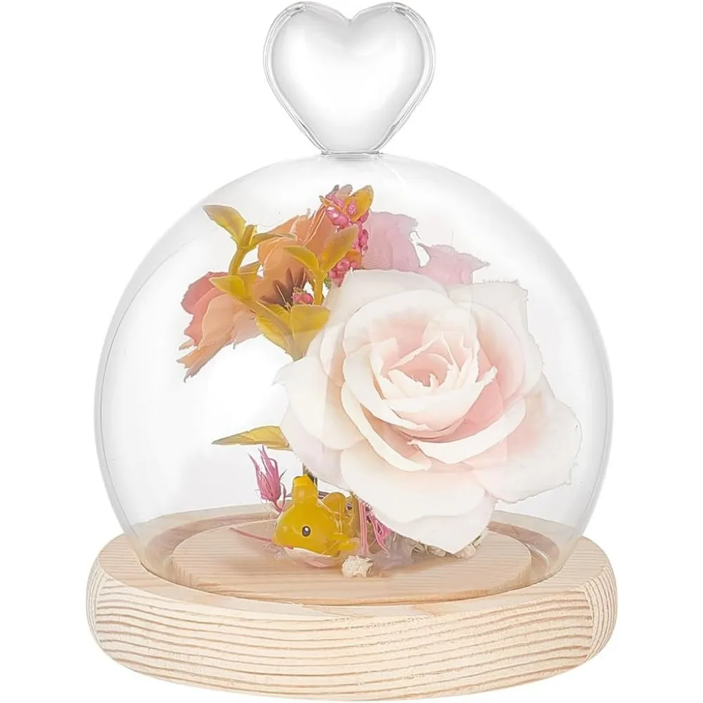 زجاج عرض قبة قاء زجاجي مع قاعدة خشبية 4